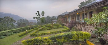 silverback lodge
