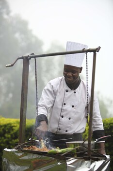 silverback lodge