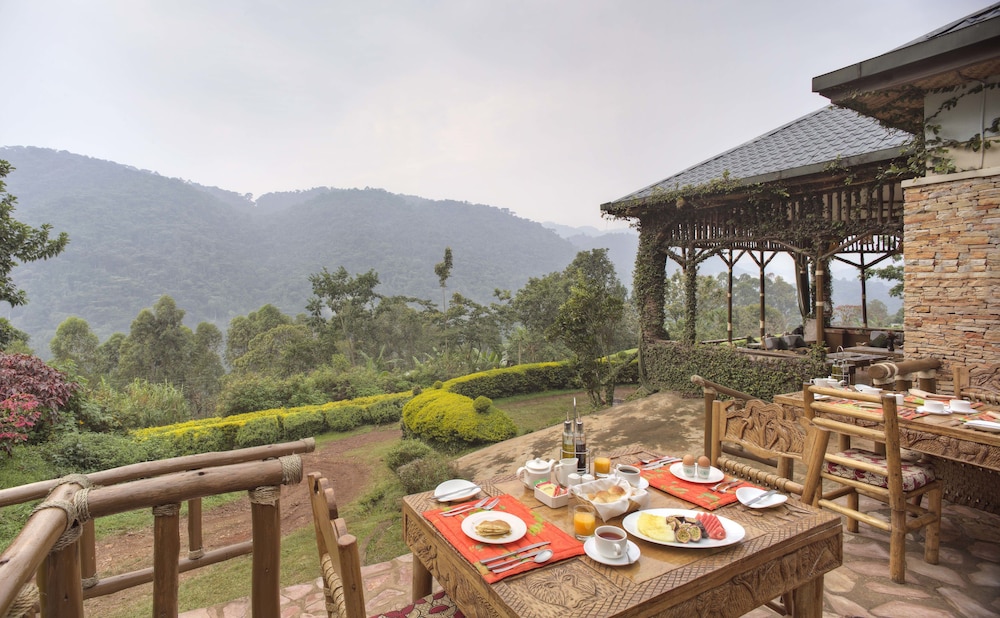 silverback lodge