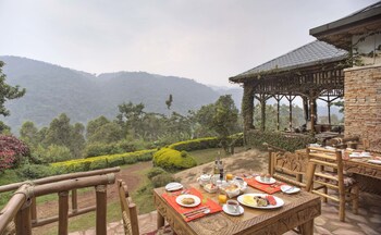 silverback lodge