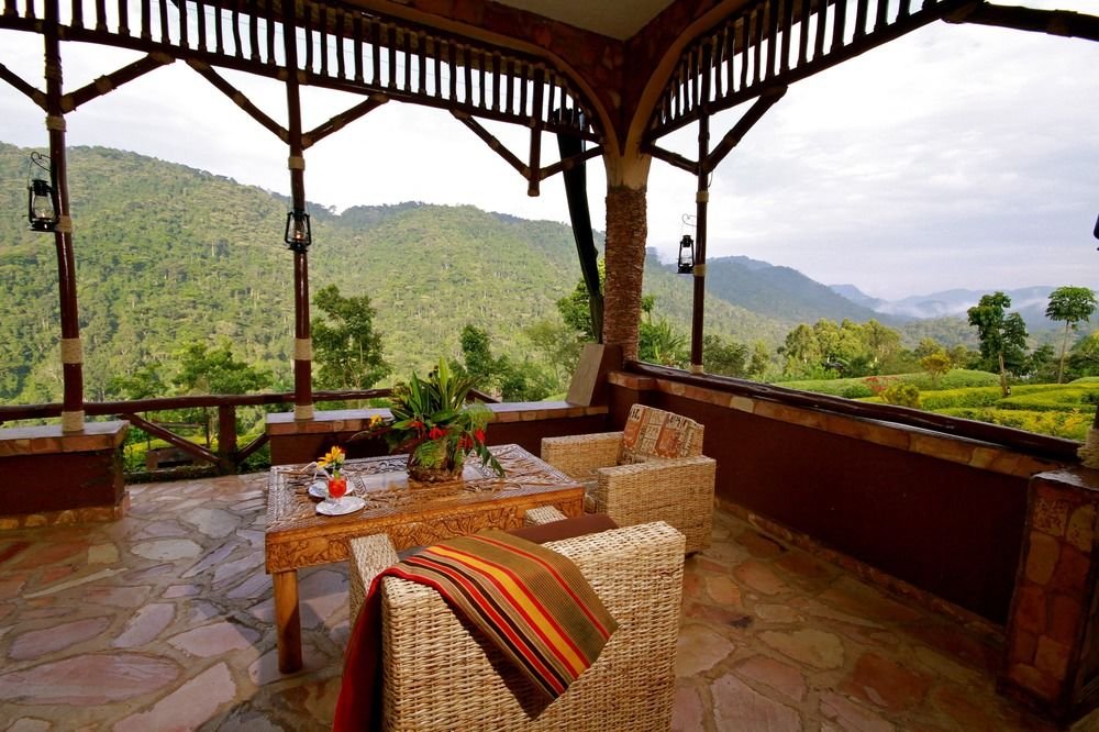 silverback lodge