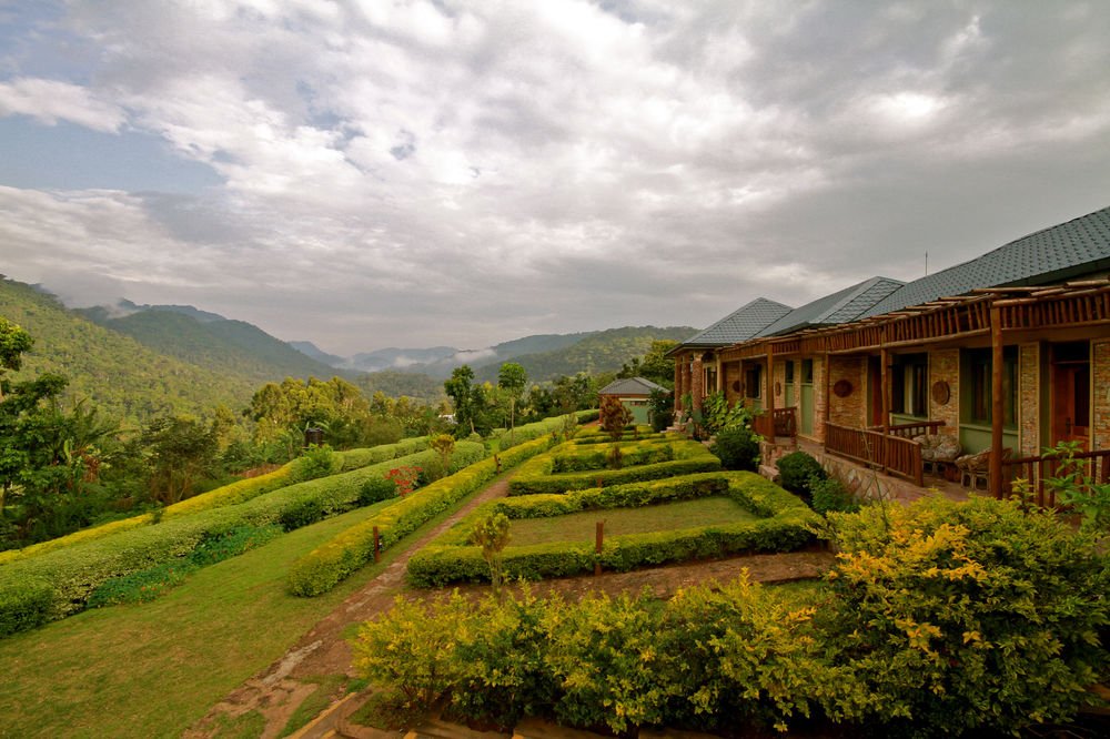 silverback lodge