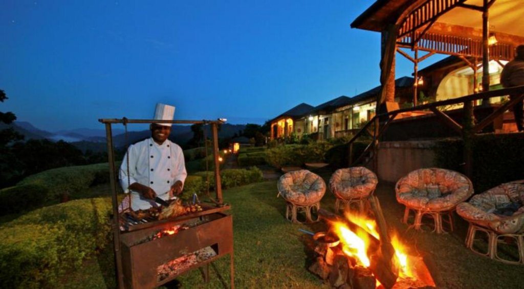 silverback lodge