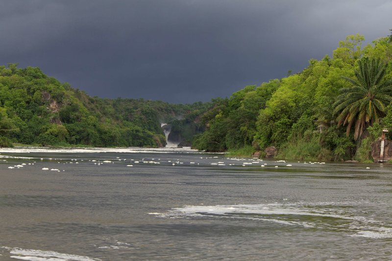 paraa safari lodge