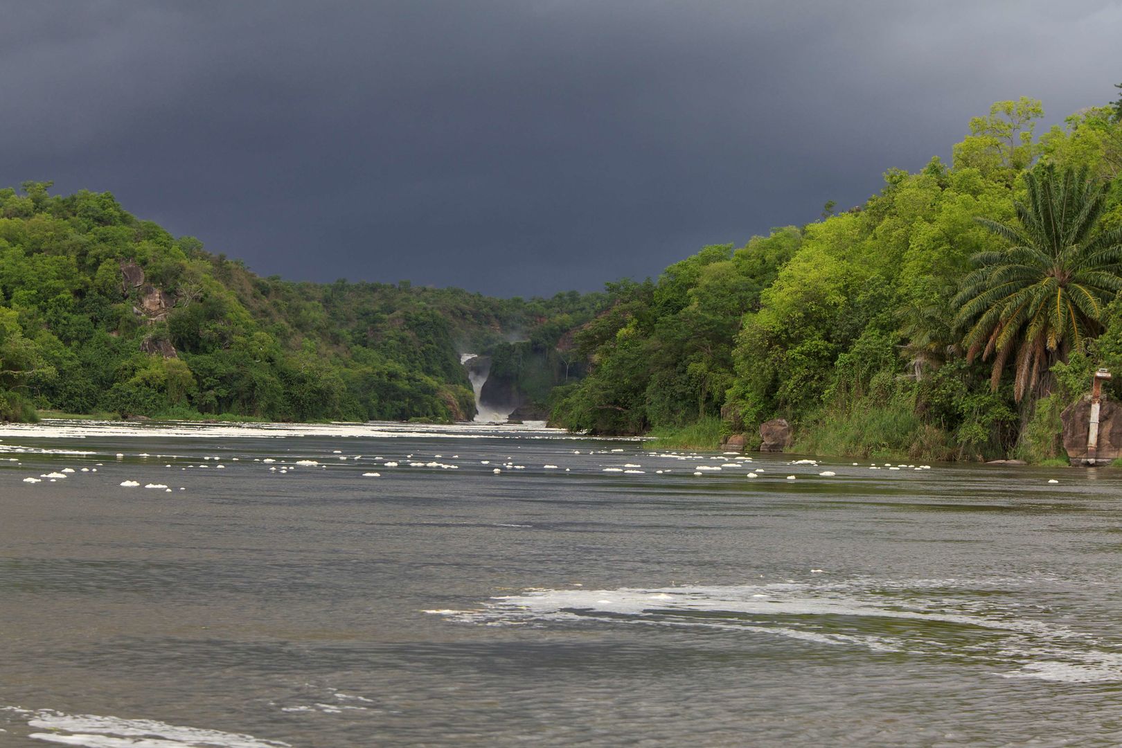 paraa safari lodge