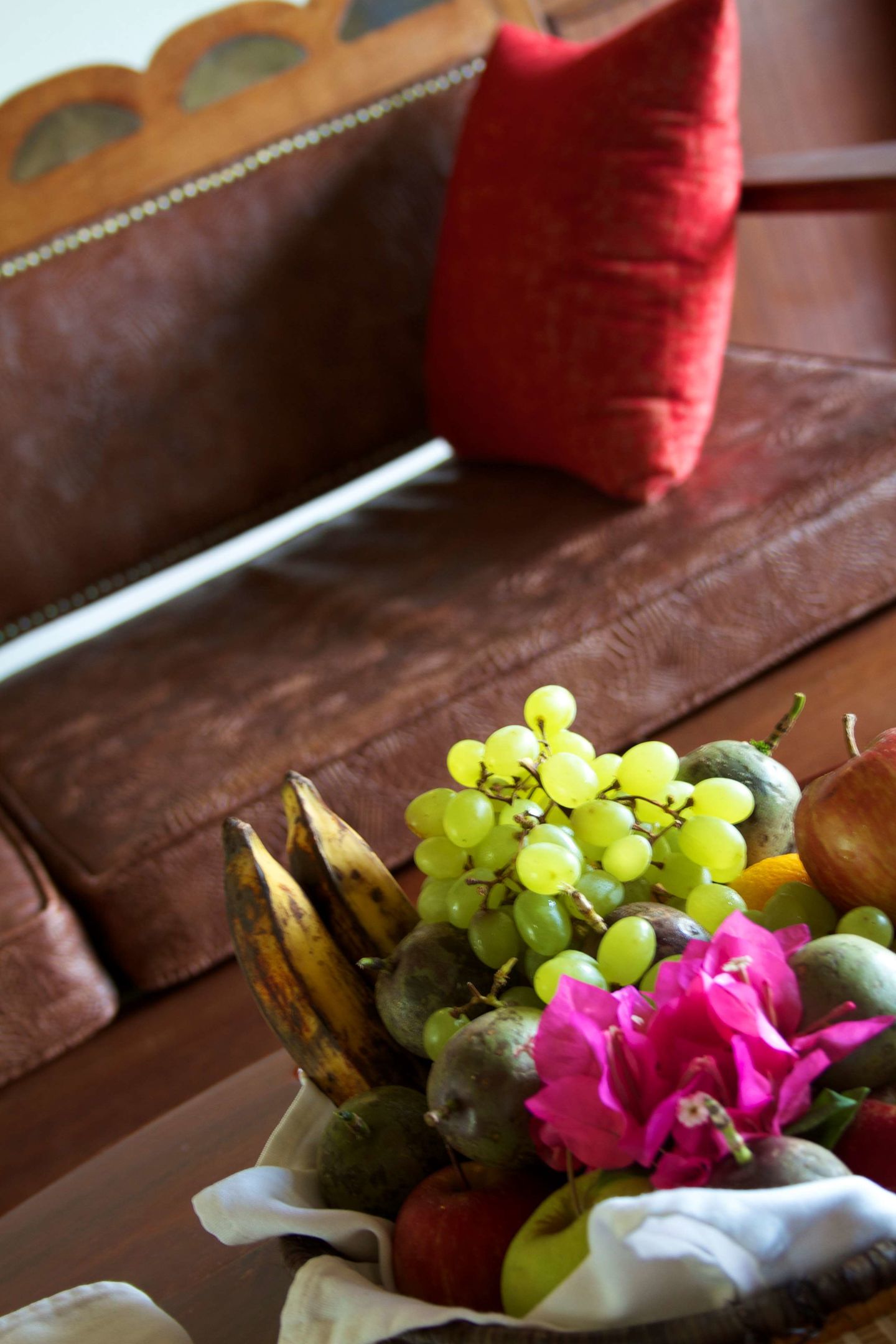 paraa safari lodge