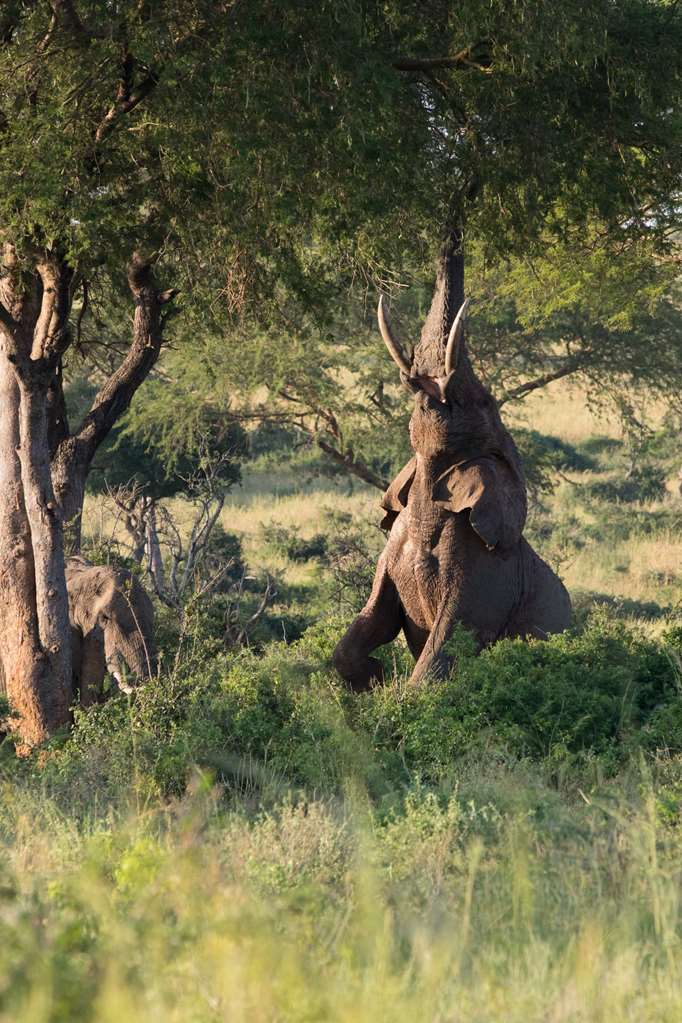Nile Safari Lodge,Near Embassy Of France,4 star
