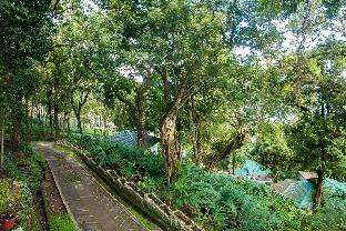 great escapes resorts