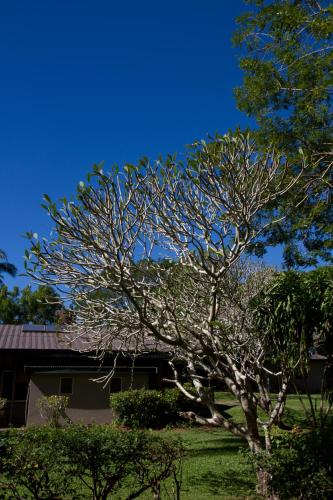 tanoa skylodge hotel