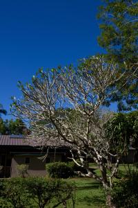 tanoa skylodge hotel