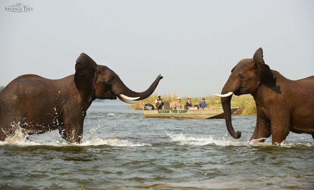 lower zambezi national park
