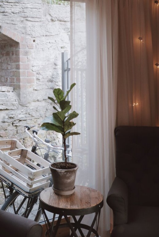 kalk hotel
