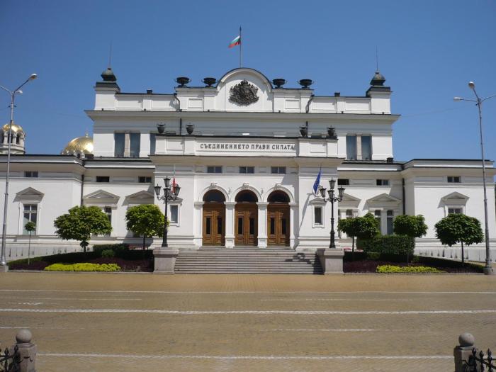 sofia