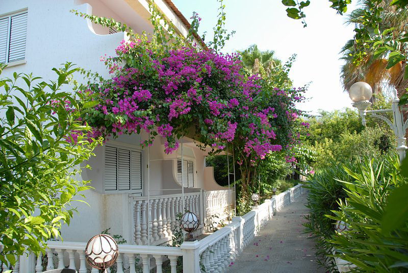 City-Image