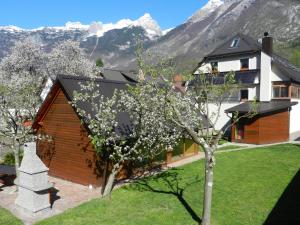 apartments mrakic