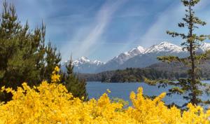 Bosque Del Nahuel Boutique Hotel & Spa,Rio Negro>>San Carlos De Bariloche,4 star