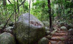 fitzroy island resort