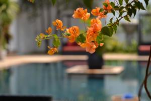 eureka villas siem reap