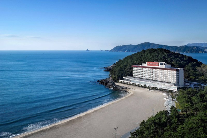 the westin josun busan