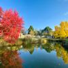 les jardins de lanjou