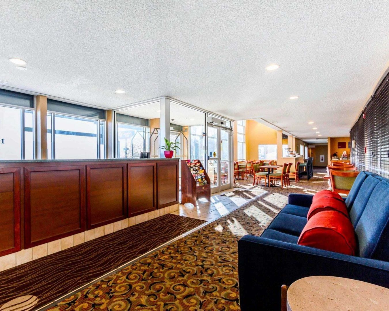 comfort inn at the zoo