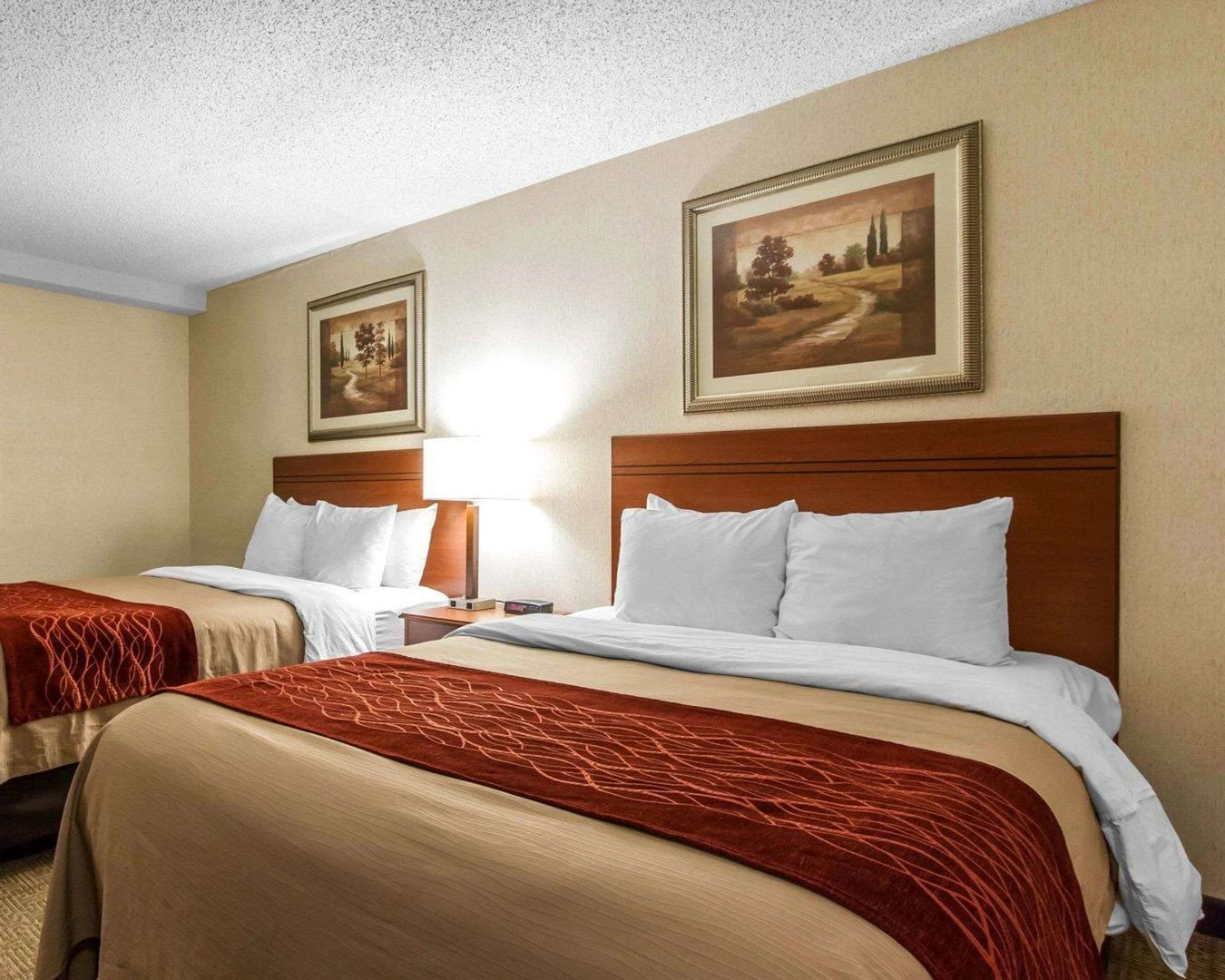 comfort inn at the zoo