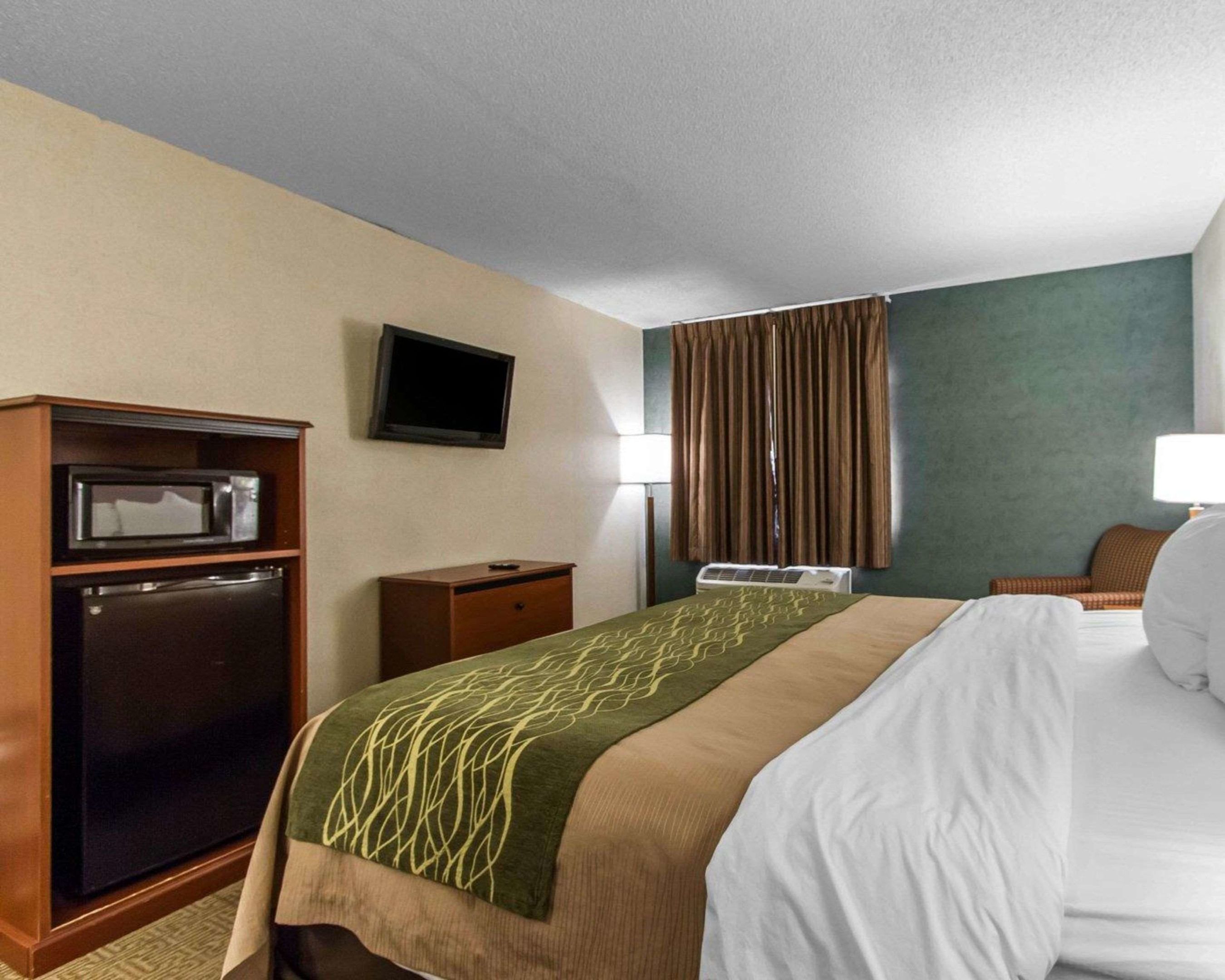 comfort inn at the zoo
