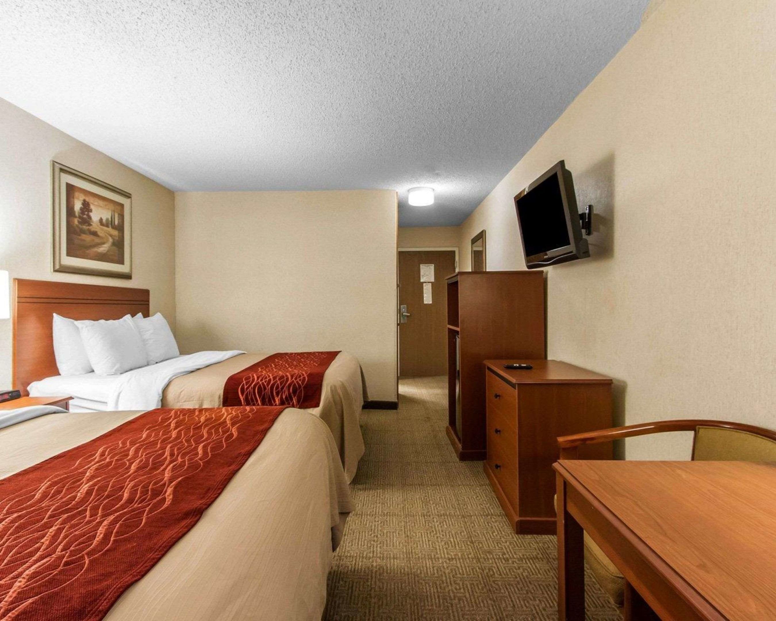 comfort inn at the zoo