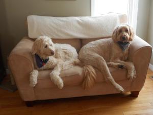 cotes bed and breakfast inn