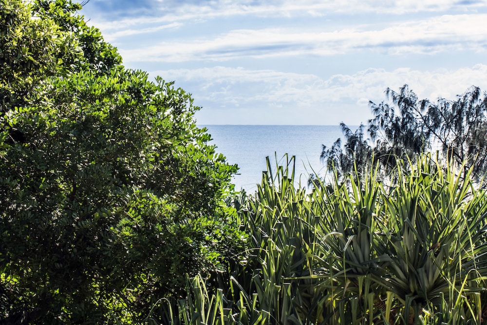 noosa heads