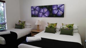 south pacific resort and spa noosa