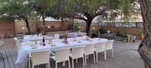 ibex unique desert inn