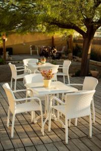 ibex unique desert inn