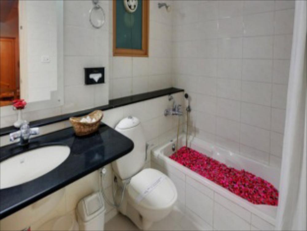 hotel kanchandeep
