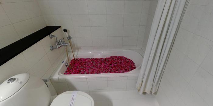 hotel kanchandeep