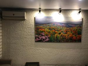 hotel kanchandeep
