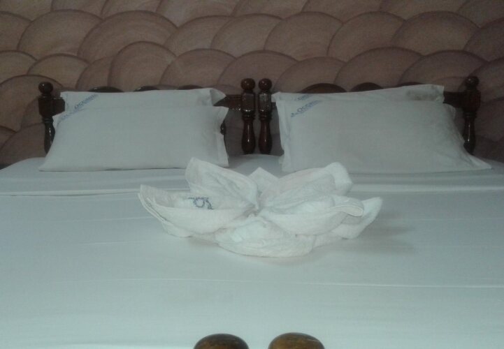 oceanic beach residency