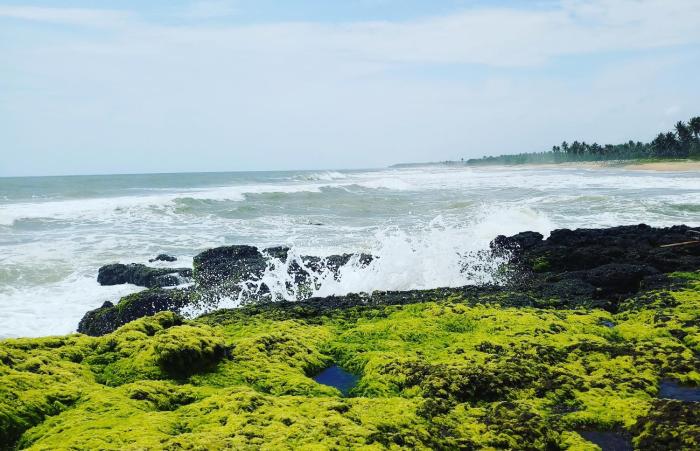 oceanic beach residency