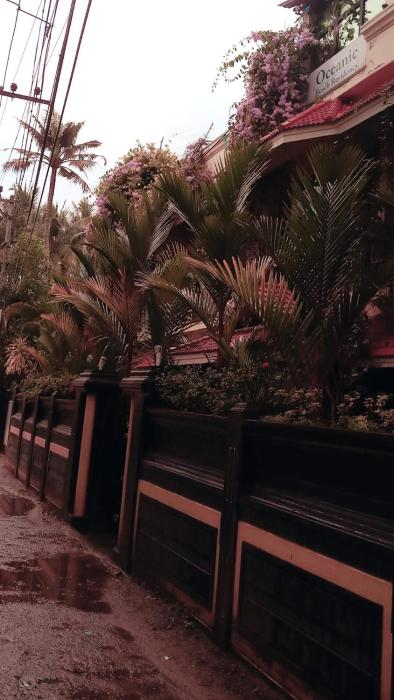 oceanic beach residency