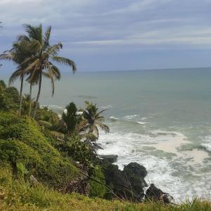 oceanic beach residency