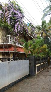 oceanic beach residency