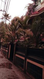 oceanic beach residency