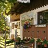 mountain chalet aspen