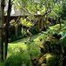 bali agung village