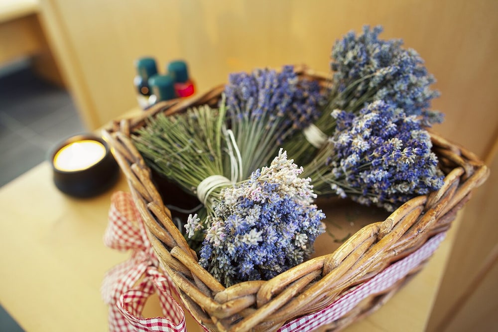 hotel abacie and wellness