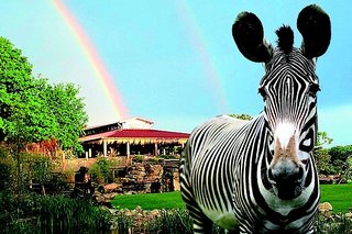 Globana Airport Hotel,Nordsachsen>>Leipzig,4 star