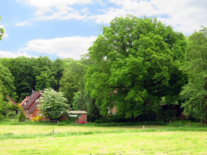 altenmedingen