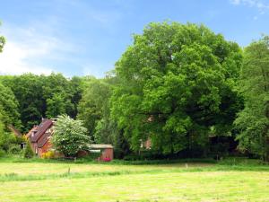 altenmedingen