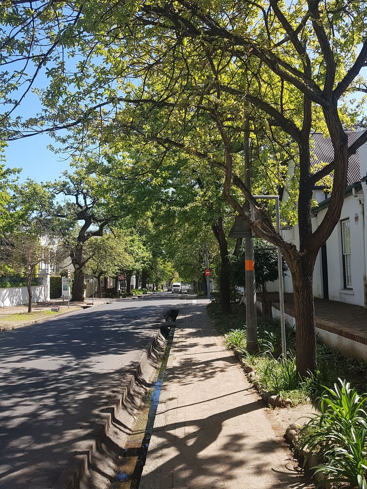 stellenbosch