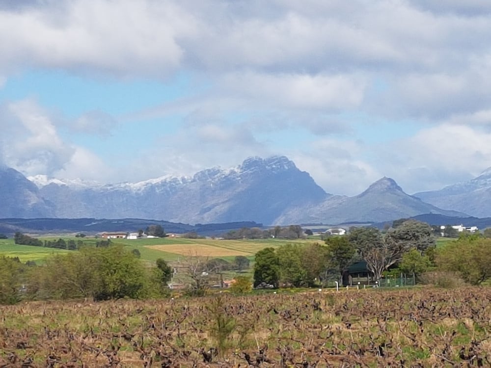 stellenbosch